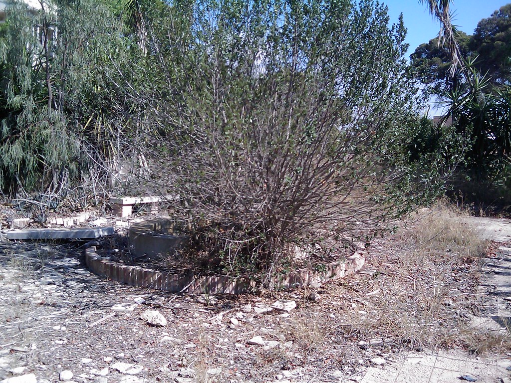 Comparativas Fotográficas (Antes y Ahora) 2743928985_77aa41576a_b