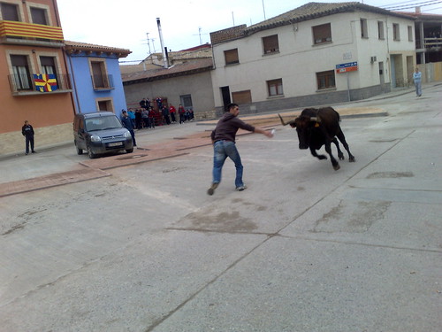 Villafranca de Ebro 8 - 12 - 08 Ganaderia de Ivan Lopez 3098936560_6c0e770279