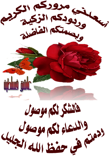 صور( رد - شكر - بداية ) للمواضيع 3117132833_926b4f60b5_o