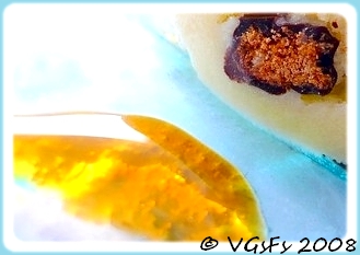 Vanilluscious, crème glacée à la vanille (VGL) 2521599101_587eeb9596_o