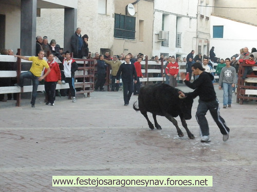 DIA 17-01-09  PRADILLA DE EBRO -  GANADO DE CUARTERO 3205514049_6944093632