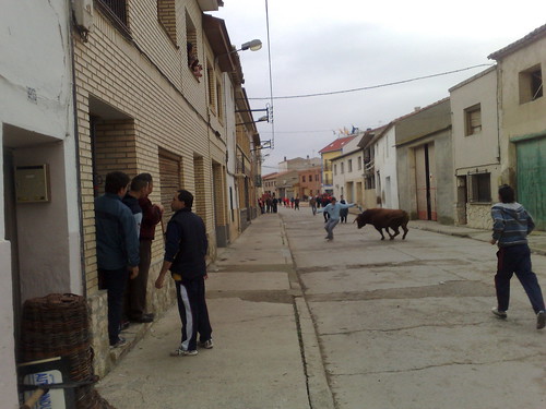 Villafranca de Ebro 8 - 12 - 08 Ganaderia de Ivan Lopez 3098087675_c2fd58b690