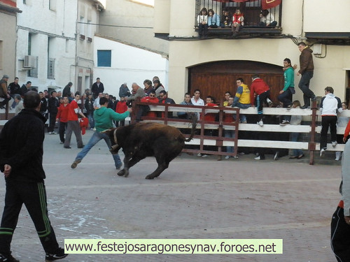 DIA 17-01-09  PRADILLA DE EBRO -  GANADO DE CUARTERO 3205506679_847a0420c9