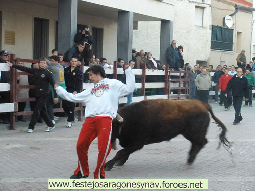 DIA 17-01-09  PRADILLA DE EBRO -  GANADO DE CUARTERO 3205511453_0982c4d85c