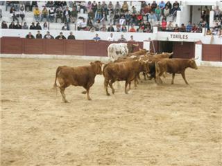 Concurso de Andorra 2420294945_02a7ccb14e_o