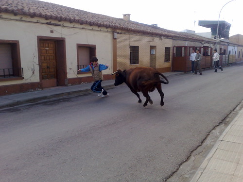 Castejon (Navarra) ganado de Pascual - Nechita de Castejon 3071404347_22cdc13e20