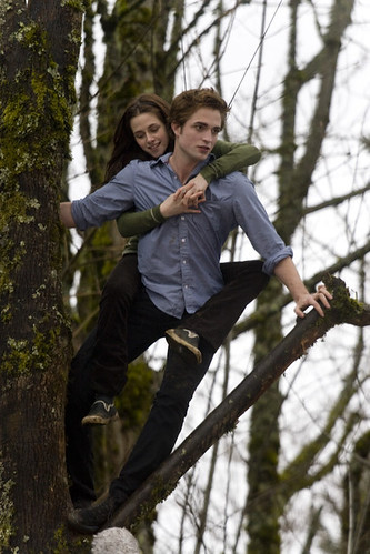 Bella and Edward 2495062760_6e0ce59f90