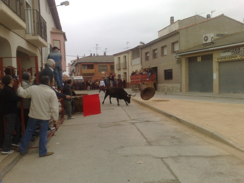 Villafranca de Ebro 8 - 12 - 08 Ganaderia de Ivan Lopez 3098942742_4683c3fa18