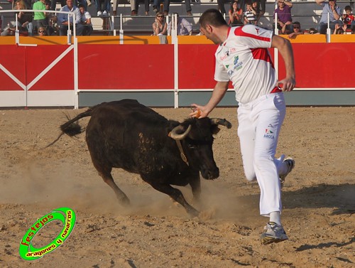 Concurso recortadores de Tauste 24-04-2010 ganaderias Jose Antonio Murillo Romeo y Francisco Murillo Conde (Tauste, Zaragoza) 4581333553_4b9ab07e4a