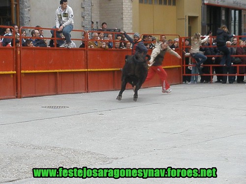 Quinto de Ebro 12-04-2009 Ganaderia Hnos. Oliva (Quinto de ebro) 3447688530_86da1b1867