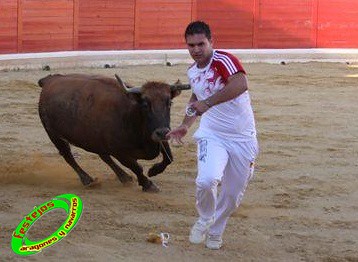 Peralta (Navarra) Concurso de recortadores 20-06-2009 Ganaderia Enrique Merino Gil y Manuel Merino Garde 3651272505_1906445946