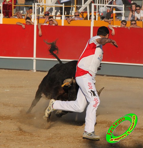 Concurso recortadores de Tauste 24-04-2010 ganaderias Jose Antonio Murillo Romeo y Francisco Murillo Conde (Tauste, Zaragoza) 4581974406_4c5f6bea59