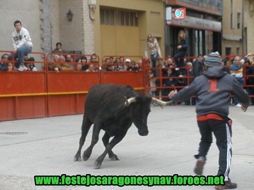 Quinto de Ebro 12-04-2009 Ganaderia Hnos. Oliva (Quinto de ebro) 3447680732_011a13f82b