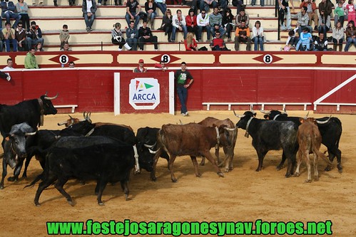 Lodosa (Navarra) Ganaderia Eulogio Mateo de Carcar 3417235723_e779c270e8