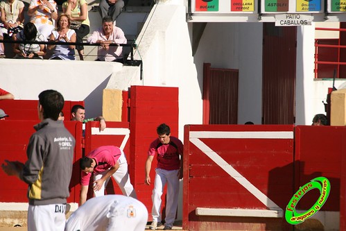 Peralta (Navarra) Concurso de recortadores 20-06-2009 Ganaderia Enrique Merino Gil y Manuel Merino Garde 3654437204_3c21d51a8c