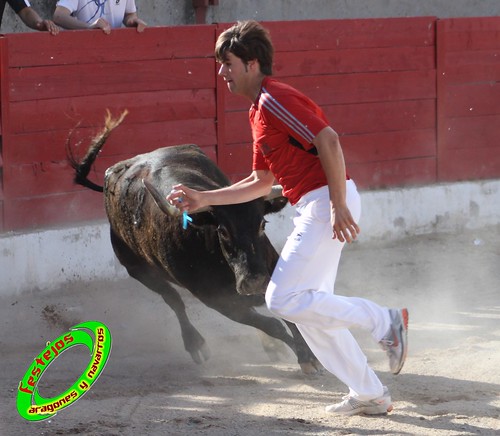 Concurso de recortadores de Pina de Ebro (Zaragoza) 9-05-2010 ganaderia Hnos Ozcoz (Fuentes de Ebro, Zaragoza) 4596301810_228c673a78