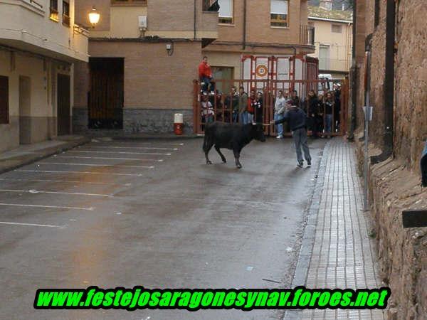 Brea de Aragón 31 - 01 - 2009 Ganaderia de Vicente Domínguez 3246762883_7084a591f6_o