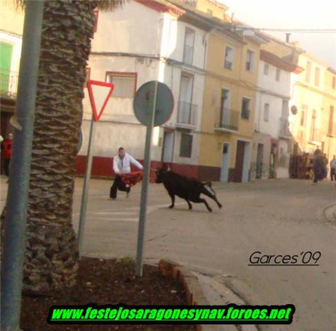 Pedrola 20 - 01 - 2009 ganaderia Logroño Tovar 3213148159_98747bc208_o