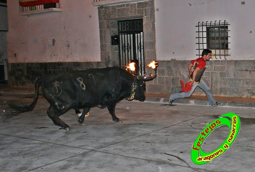 Emboladoras de Aragon  y Navarra, Agon 25-04-2009 toro de "El Ruiseñor" 3484932217_68031cc1ff