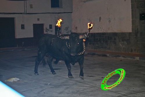 Emboladoras de Aragon  y Navarra, Agon 25-04-2009 toro de "El Ruiseñor" 3485745410_eec4d3f9ac