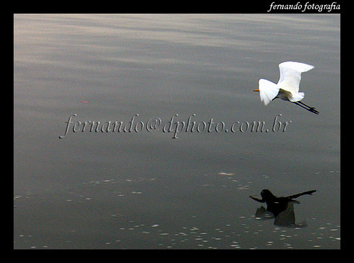 Reflexo no Porto de Porto