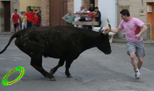 Cortes de Navarra (Navarra) Ganaderia Jose Arriazu e Hijos 25-06-2009 3671076791_794092048f