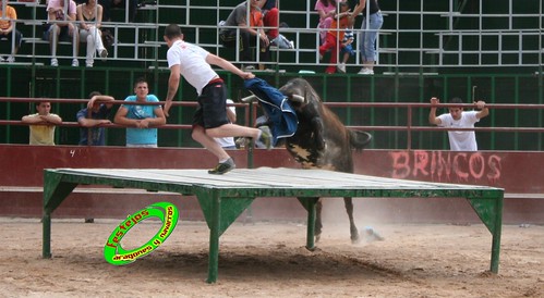 Concurso de ganaderias en Mores (Zaragoza) Francisco Murillo, Jose Antonio Murillo, Hnos. Joven Salas 3584878259_5d93ffa7d0