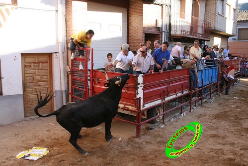 Alpartir (Zaragoza) 21-06-2009 Ganaderia "El Ruiseñor" (Frescano) 3656804072_dc3d36fec3