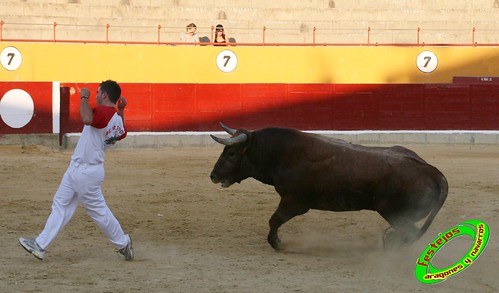 Alagon (Zaragoza) Concurso de cortes Ganaderia Jose Luis Cuartero (Pradilla de Ebro, Zaragoza) 3635581454_c18716baee