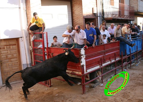 Alpartir (Zaragoza) 21-06-2009 Ganaderia "El Ruiseñor" (Frescano) 3656798394_086d4bfe2b