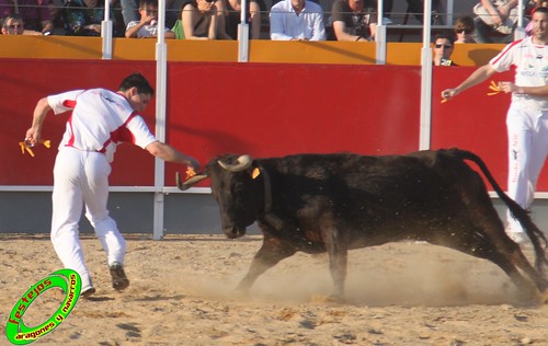 Concurso recortadores de Tauste 24-04-2010 ganaderias Jose Antonio Murillo Romeo y Francisco Murillo Conde (Tauste, Zaragoza) 4581334485_6f737f2abf