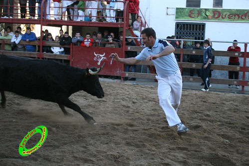 Luceni (Zaragoza) Ganaderia Jose Luis Cuartero 1-05-2009 3505172830_f5444defbf