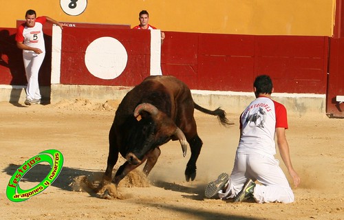 Alagon (Zaragoza) Concurso de cortes Ganaderia Jose Luis Cuartero (Pradilla de Ebro, Zaragoza) 3633072479_64a7d0d994