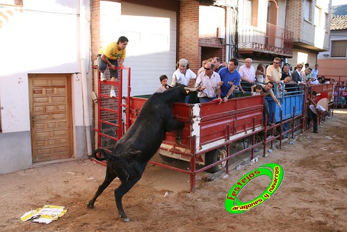 Alpartir (Zaragoza) 21-06-2009 Ganaderia "El Ruiseñor" (Frescano) 3656009871_fa08aa9e90