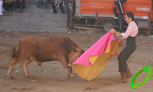 Alpartir (Zaragoza) 21-06-2009 Ganaderia "El Ruiseñor" (Frescano) 3655983719_e63f79093e