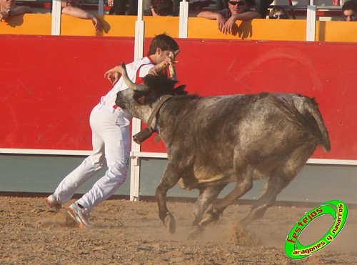 Concurso recortadores de Tauste 24-04-2010 ganaderias Jose Antonio Murillo Romeo y Francisco Murillo Conde (Tauste, Zaragoza) 4582009292_9a2003099c