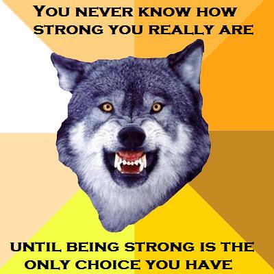 Courage Wolf thread (Might be offensive to some) 3336055989_8f0f4b24df