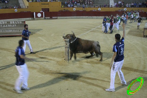 Alagon (Zaragoza) Exhibicion de emboladores de la cuadrilla de la Almunia y de emboladoras de Aragon y Navarra. 3635624447_5ab5d29d24