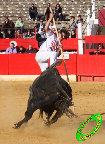 Alfaro (La Rioja)  16 de mayo Concurso de recortadores con anillas, ganaderia Jose Arriazu e Hijos (Ablitas, Navarra) 4639262830_ca3178fc90