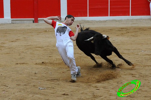 Concurso de cortes de Ricla ganaderia Ana Corera (Larraga, Navarra) 4642255642_1ca5feee66