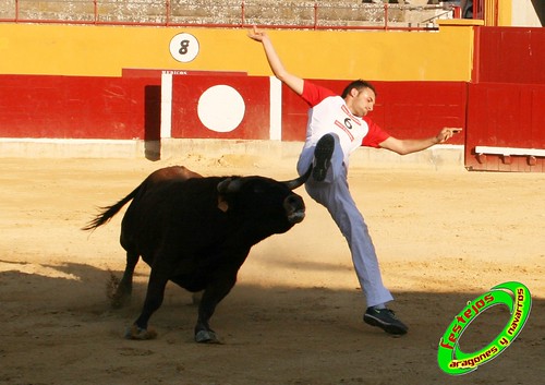 Alagon (Zaragoza) Concurso de cortes Ganaderia Jose Luis Cuartero (Pradilla de Ebro, Zaragoza) 3633136257_1d92a6f1e4