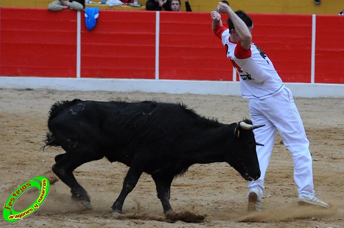 Concurso de cortes de Ricla ganaderia Ana Corera (Larraga, Navarra) 4641641009_ed266cbd4a