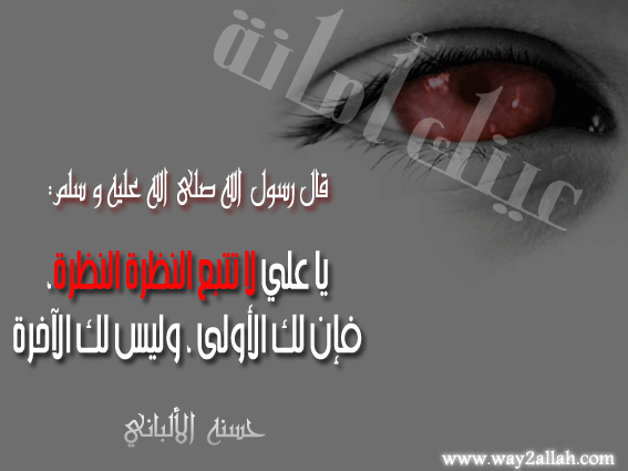 عيـــــنك أمانة 3488905169_d96a4a2c2d_o