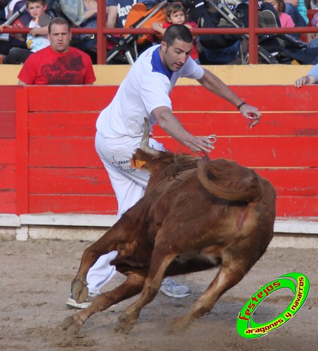 Concurso de recortadores del Burgo de Ebro (Zaragoza) 23-4-2010 ganaderia Ivan Lopez (Villafranca de Ebro, Zaragoza) 4557901311_2227c52e79