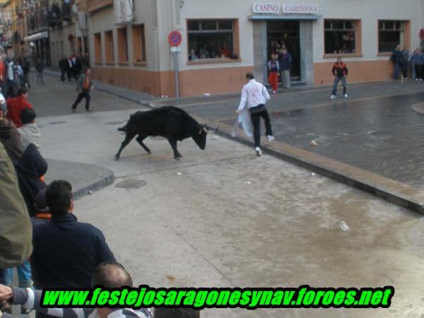 Cariñena 29 - 01 - 2009 3238166835_a58ac392aa_o