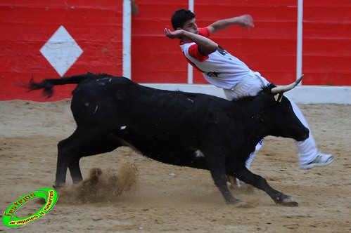 Concurso de cortes de Ricla ganaderia Ana Corera (Larraga, Navarra) 4642275080_1b0ee9325d