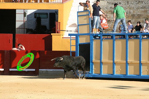 Alagon (Zaragoza) Desencajonada y vacas encintadas Ganaderia de Jose Luis Cuartero (Pradilla de Ebro) 11-6-2009 3628728044_935f29810f