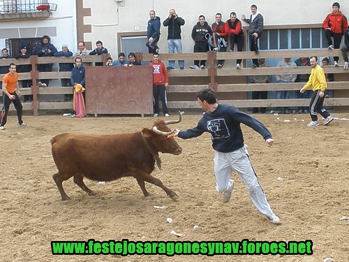 Villatuerta (Navarra) Ganaderia Miguel Reta 7 - 03 - 2009 3339115716_9098a0690a