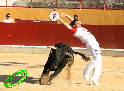 Alagon (Zaragoza) Concurso de cortes Ganaderia Jose Luis Cuartero (Pradilla de Ebro, Zaragoza) 3632905255_37c235f3e9