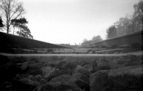 Pinhole - Page 3 3491825485_83a26d8d70